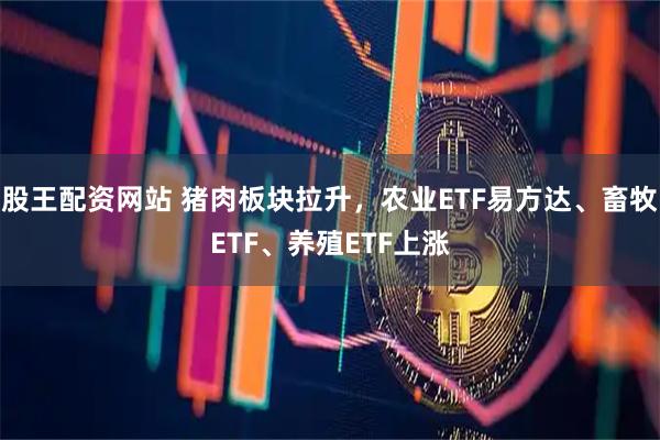 股王配资网站 猪肉板块拉升，农业ETF易方达、畜牧ETF、养殖ETF上涨