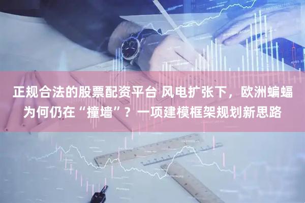 正规合法的股票配资平台 风电扩张下，欧洲蝙蝠为何仍在“撞墙”？一项建模框架规划新思路