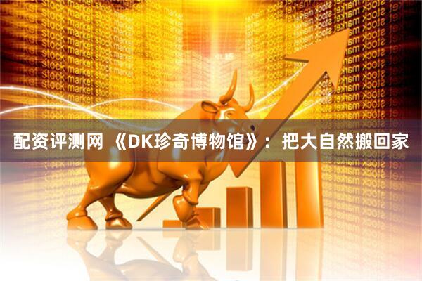 配资评测网 《DK珍奇博物馆》：把大自然搬回家