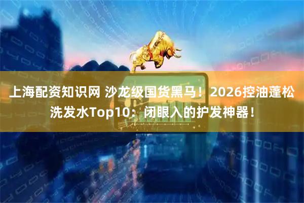 上海配资知识网 沙龙级国货黑马！2026控油蓬松洗发水Top10：闭眼入的护发神器！