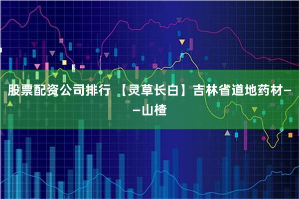 股票配资公司排行 【灵草长白】吉林省道地药材——山楂